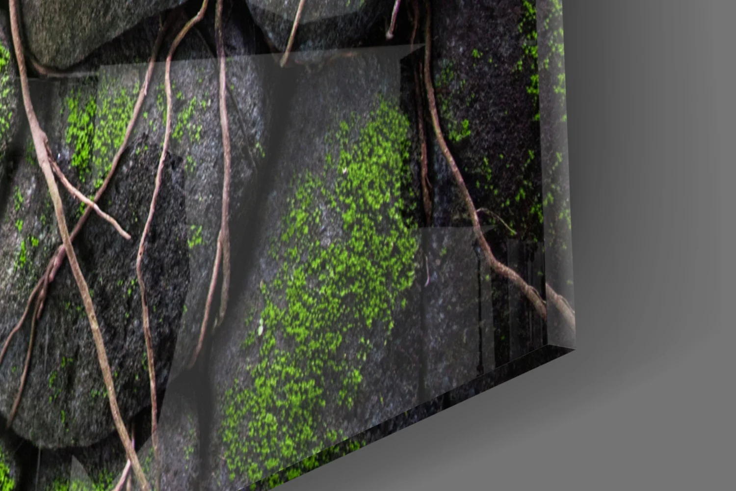Mossy Stones Glass Wall Art - Image 7