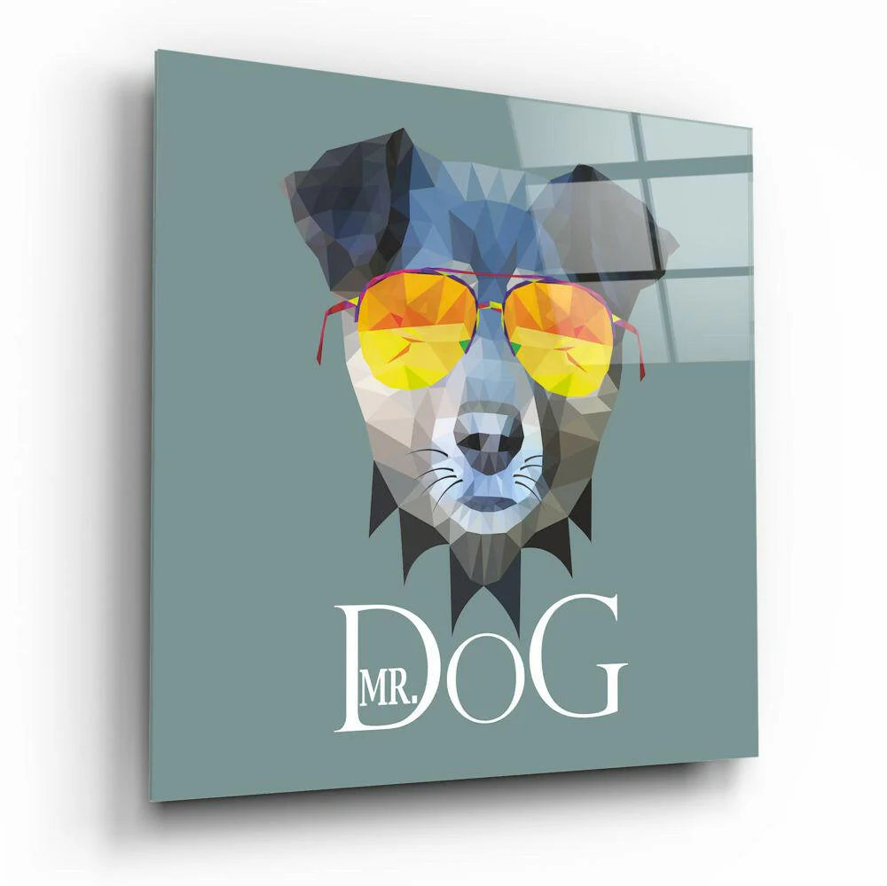 Mr Dog Geometric Sunglasses Glass Wall Art
