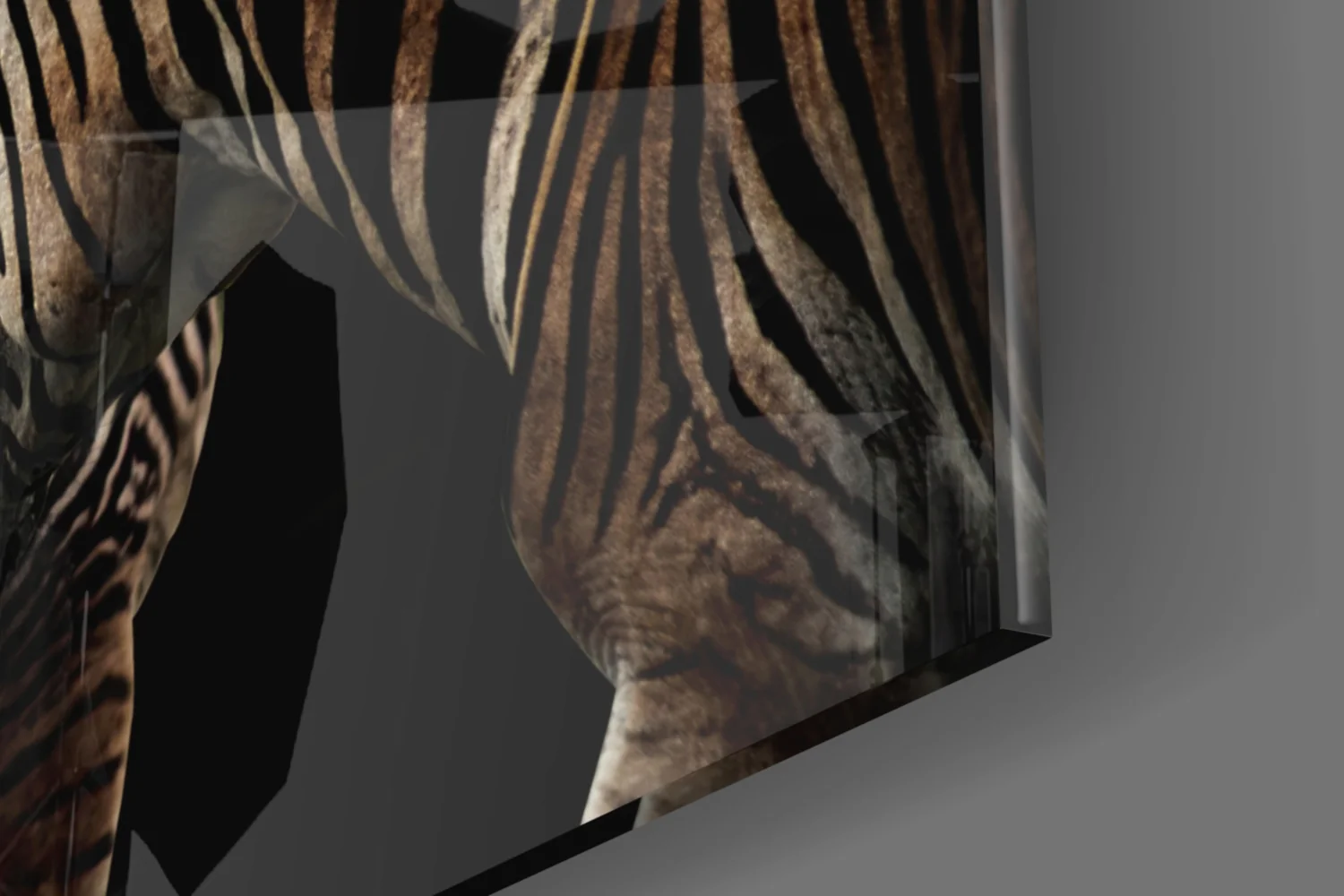 Nuzzling Zebra Pair Glass Wall Art - Image 8
