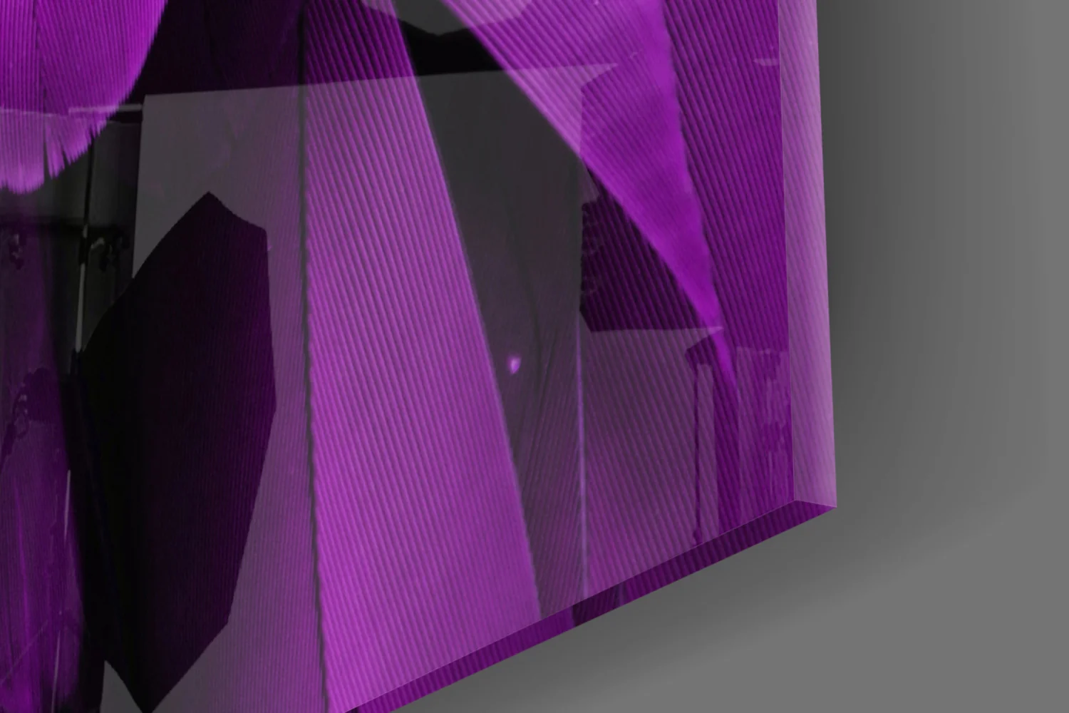 Bird Feathers Glass Wall Art - Image 7