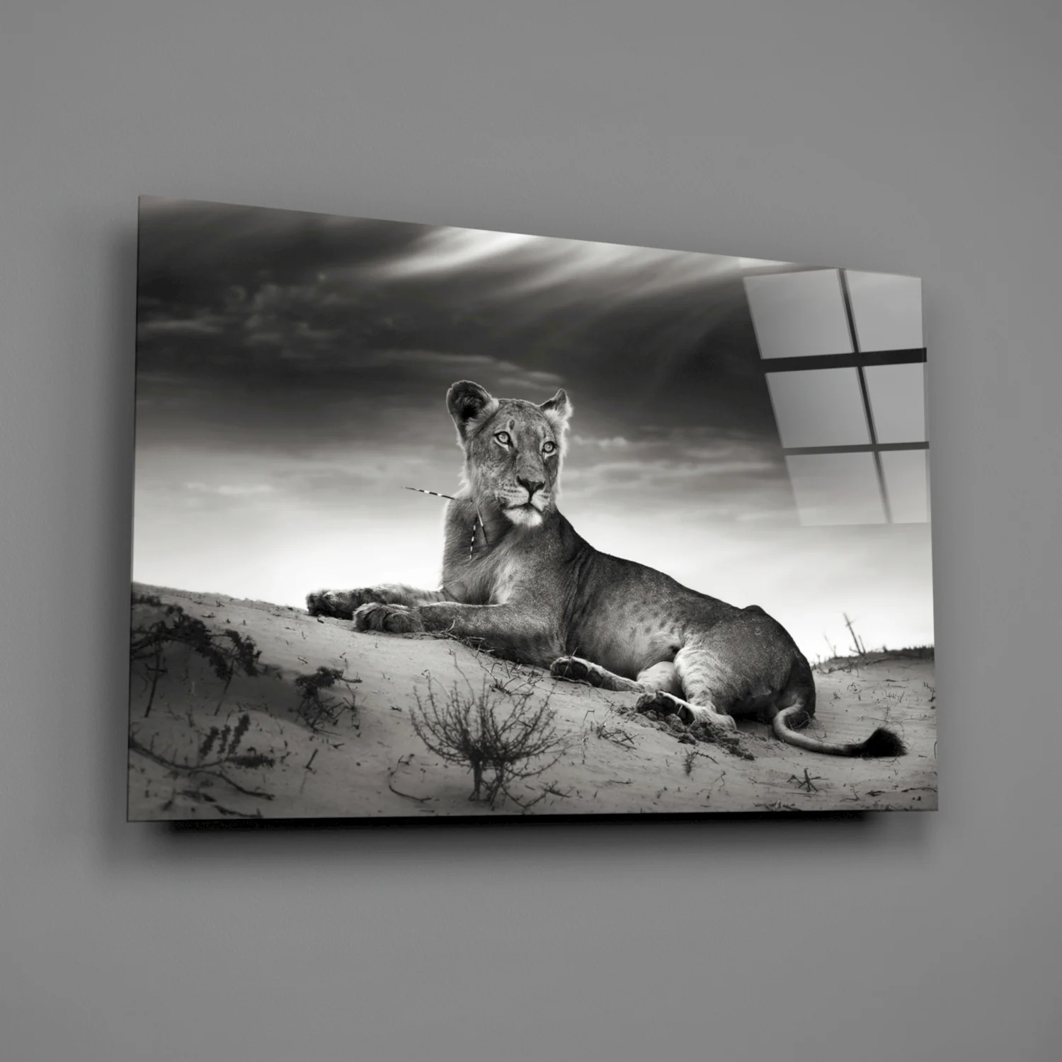 Lioness Glass Wall Art - Image 2