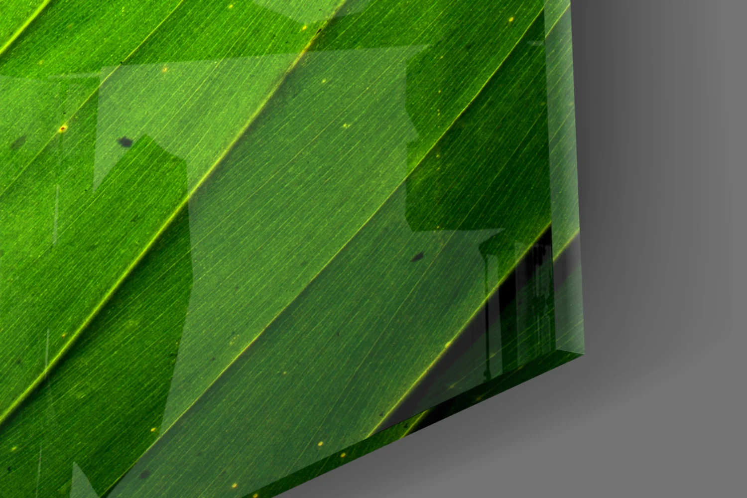 Green Leaf Glass Wall Art - Image 7