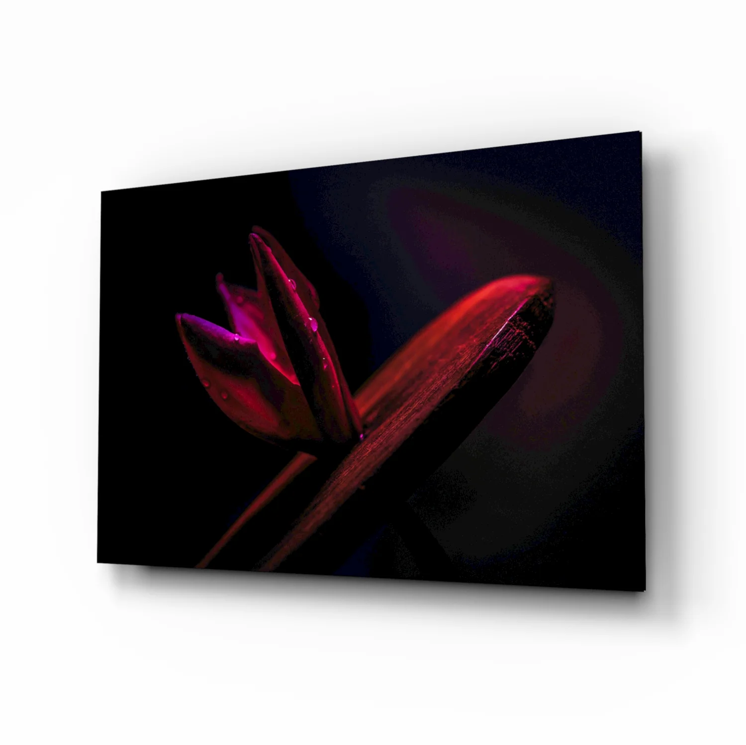 Red Leaf Glass Wall Art