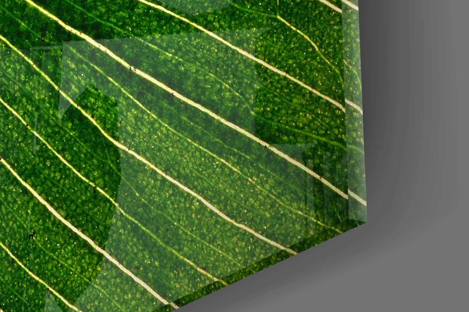 Green Leaf Glass Wall Art - Image 7