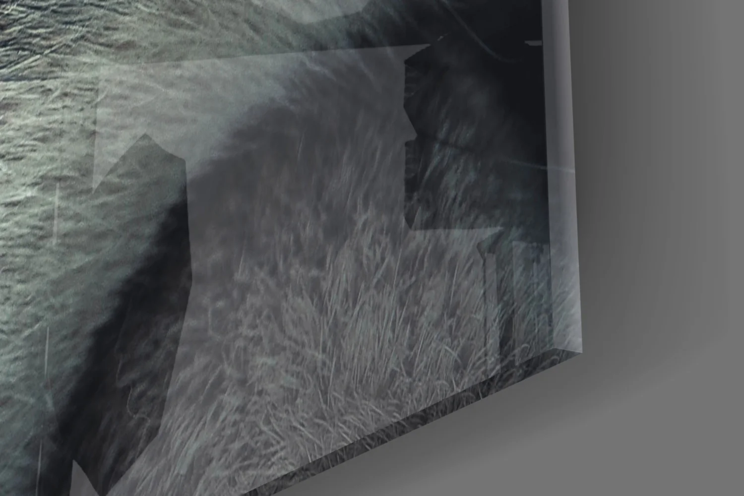Wolf's Eye Glass Wall Art - Image 7