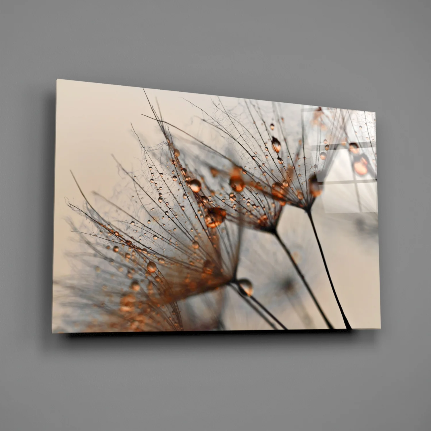Cinnamon Dandelion Glass Wall Art - Image 2