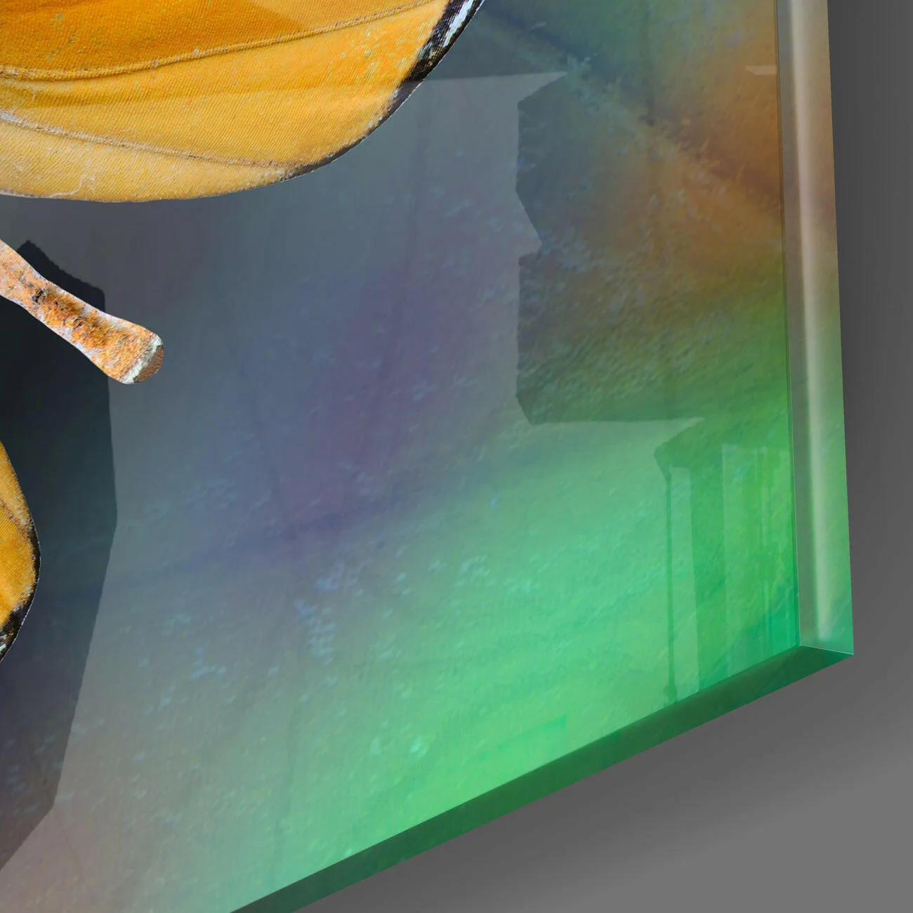 Orange Butterfly on Teal Glass Wall Art - Image 3