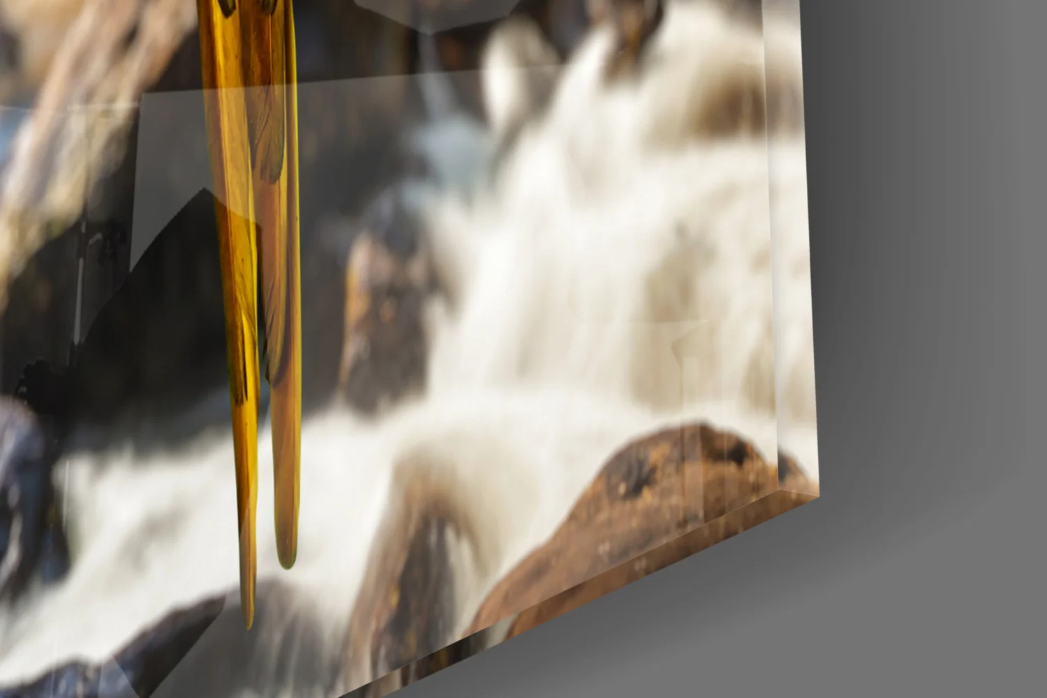 Parrots Glass Wall Art - Image 7