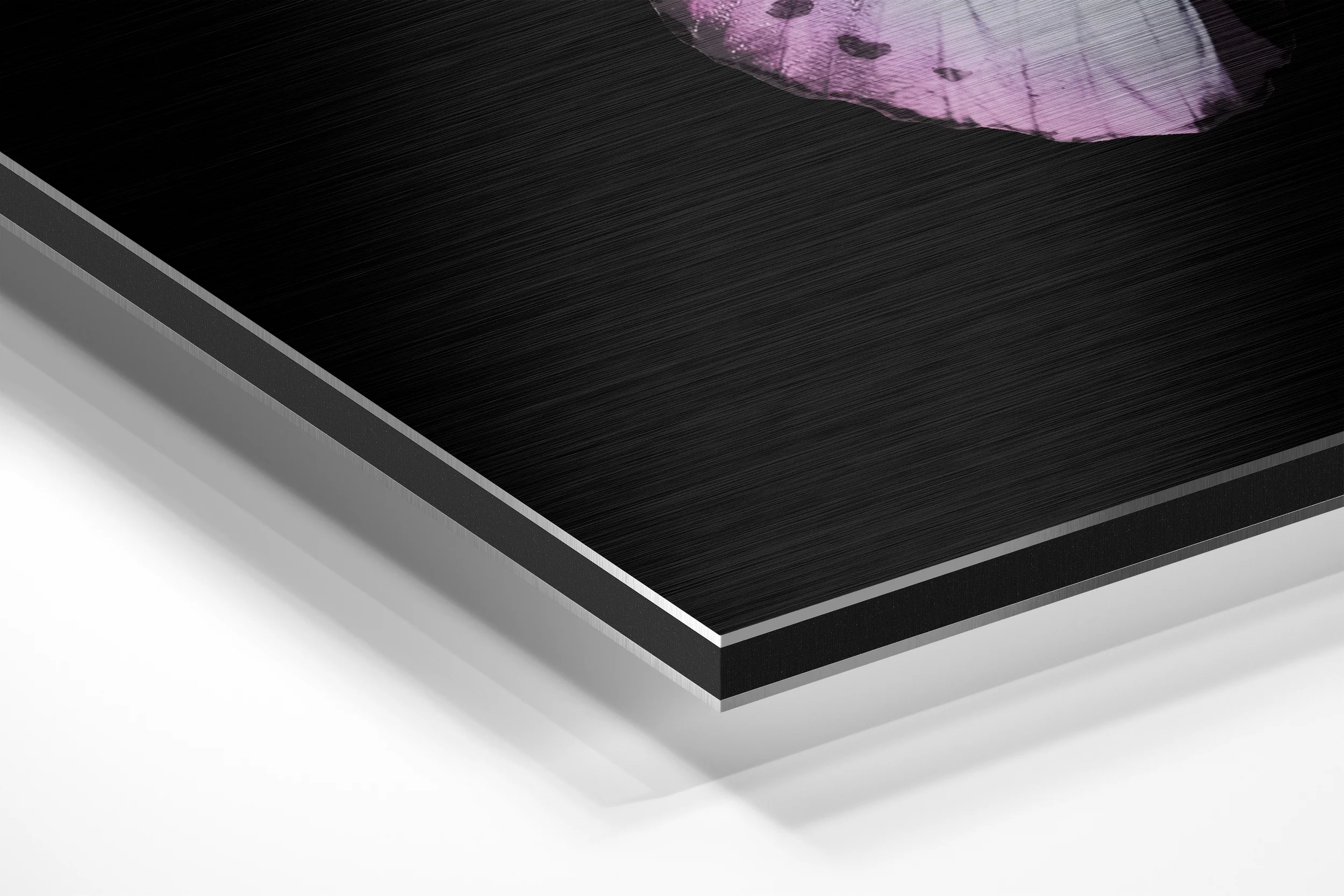 Pink White Butterfly Brushed Aluminium Dibond Wall Art - Image 2