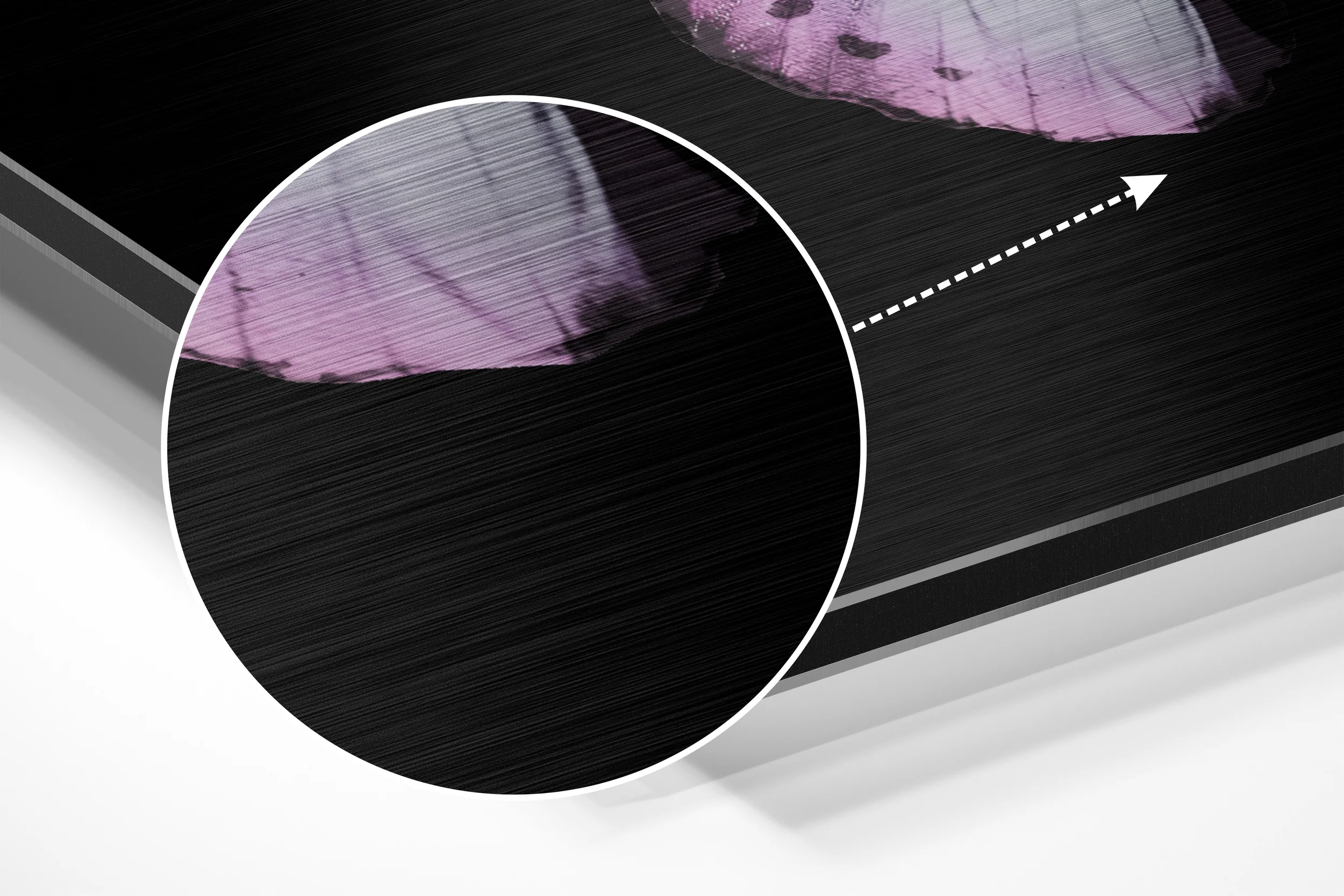 Pink White Butterfly Brushed Aluminium Dibond Wall Art - Image 3
