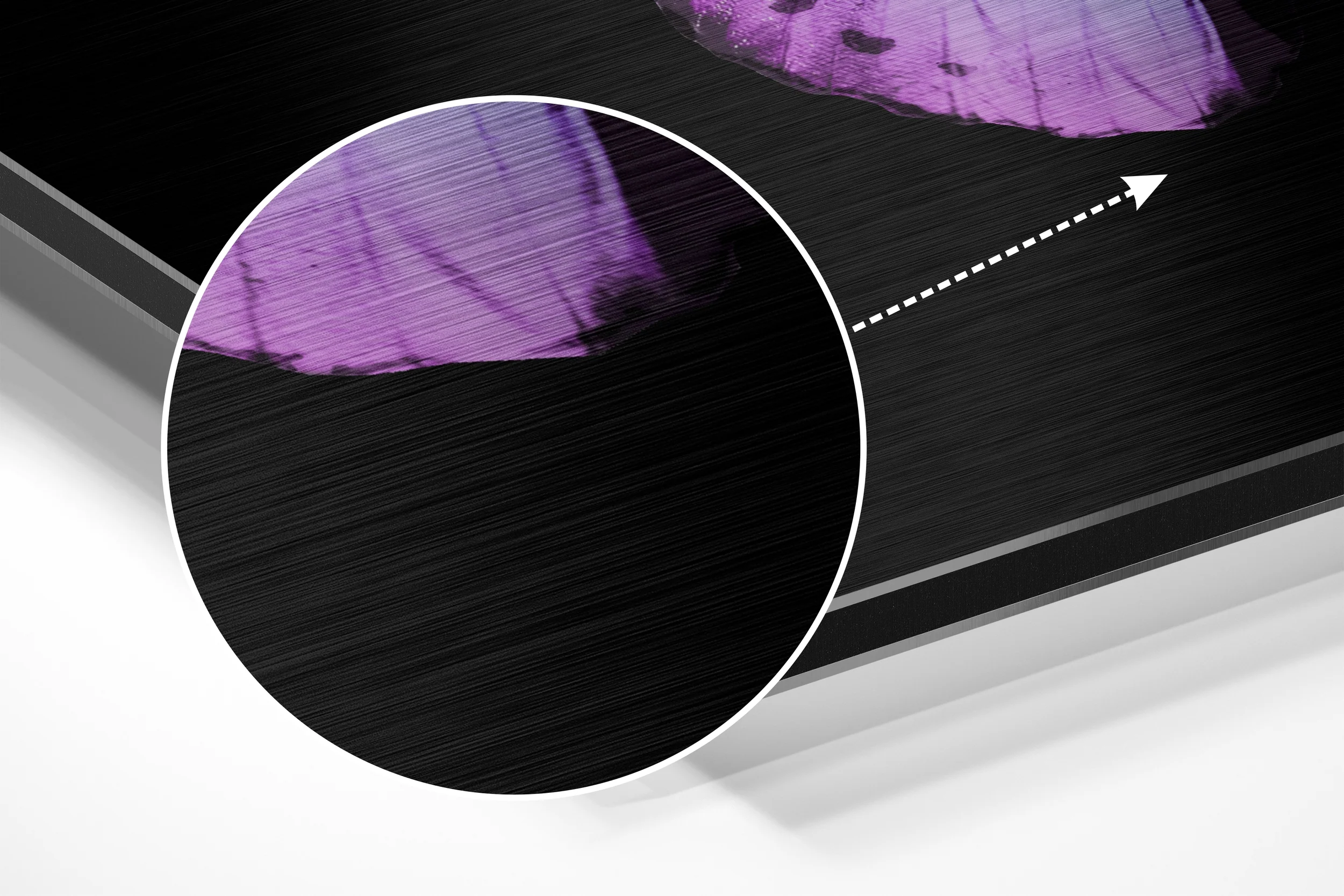 Purple Blue Butterfly Brushed Aluminium Dibond Wall Art - Image 3