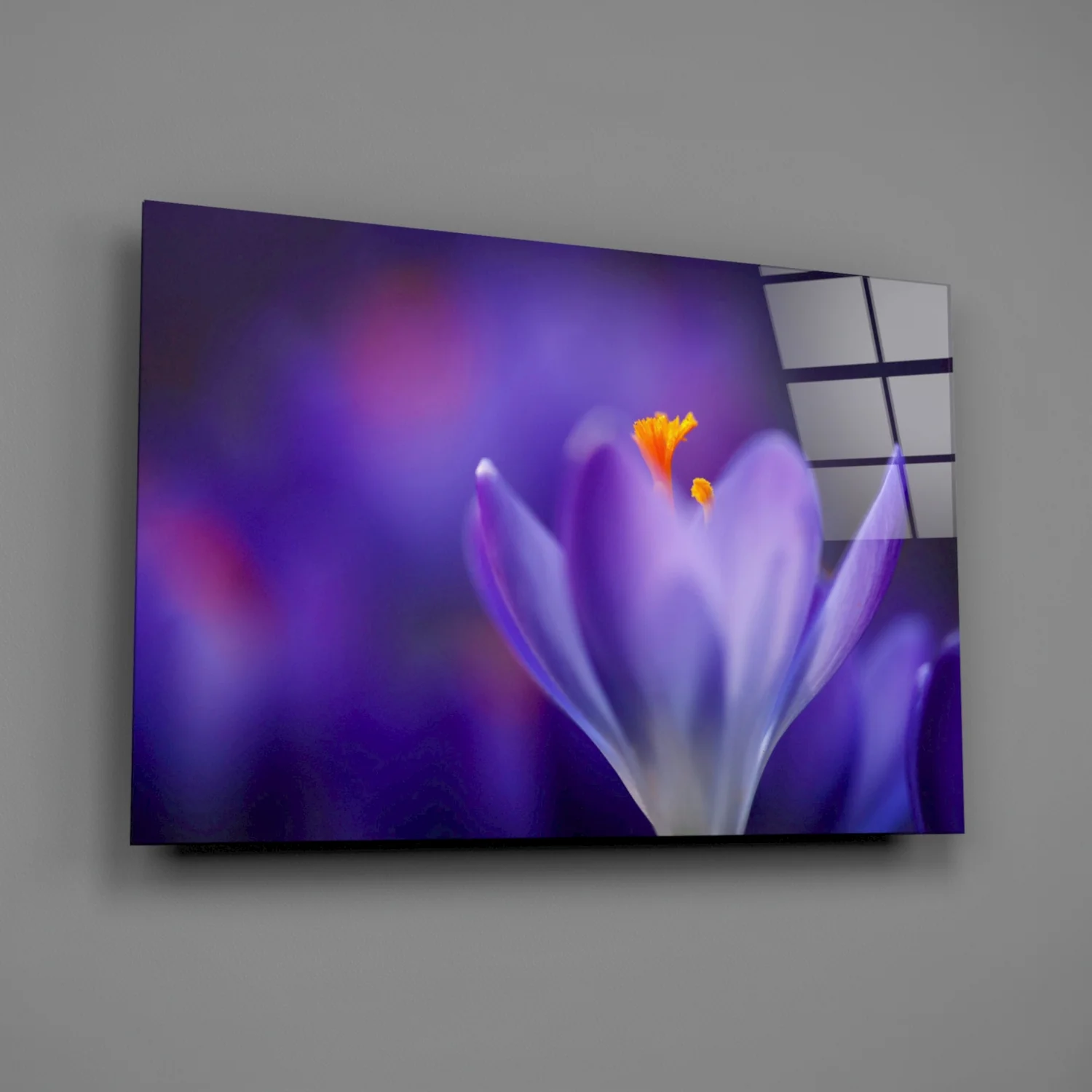 Purple Crocus Bloom Glass Wall Art - Image 3