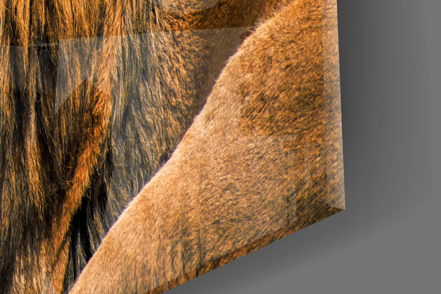 Reclining Golden Lion Profile Glass Wall Art - Image 7