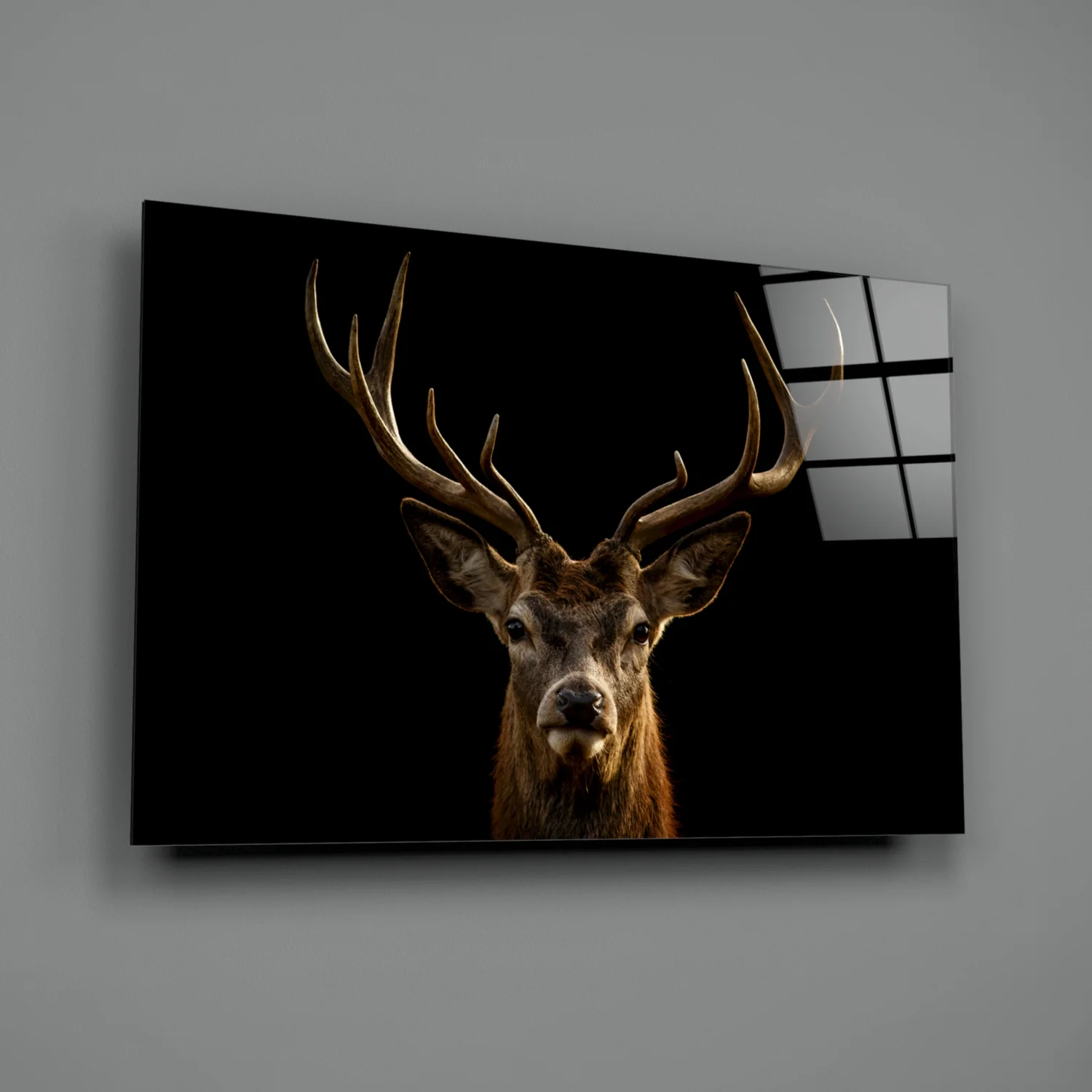 Red Deer Stag on Black Glass Wall Art - Image 2