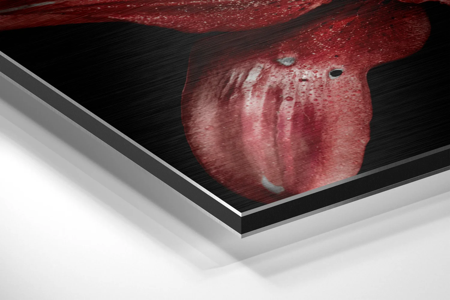 Red Lillium Brushed Aluminium Dibond Wall Art - Image 2
