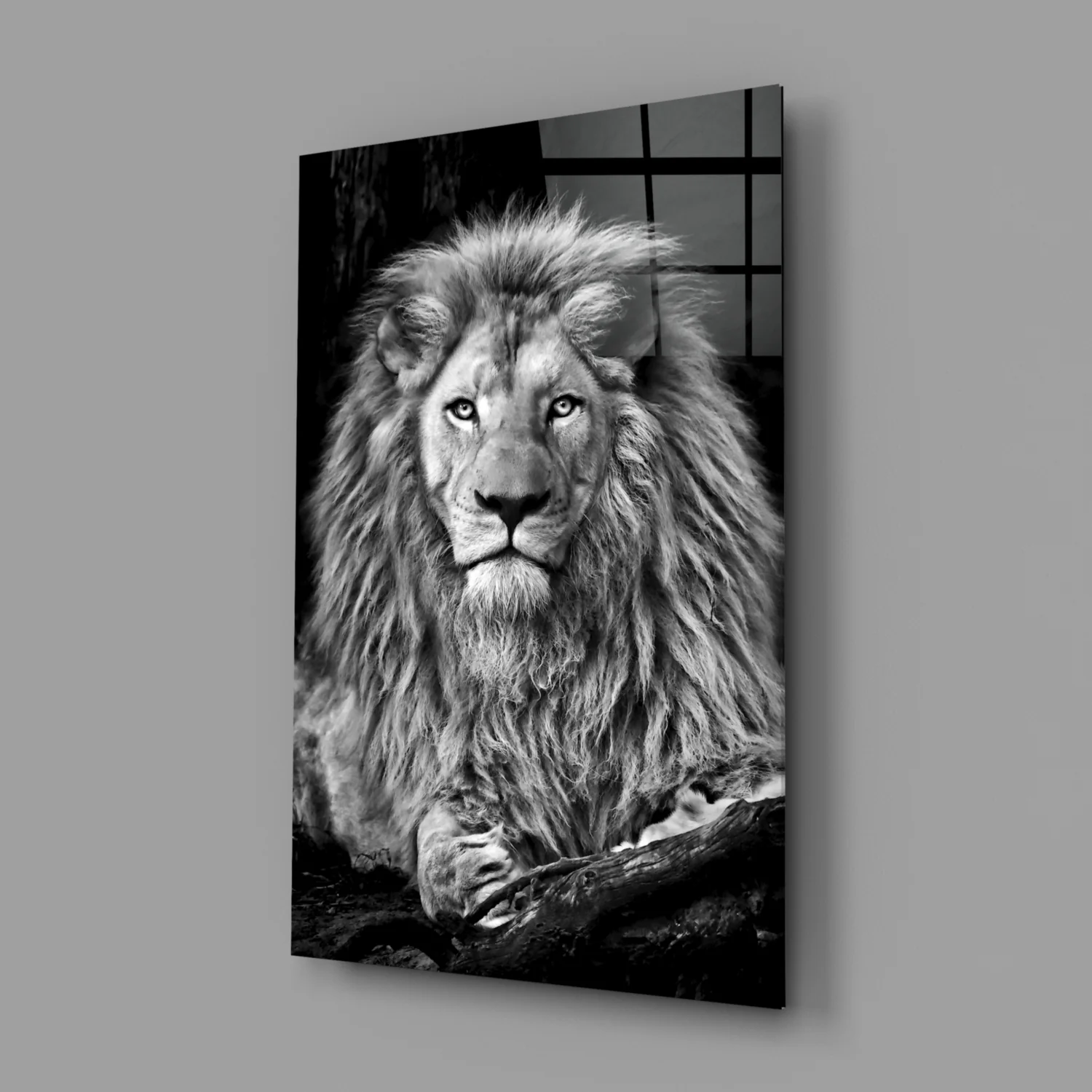 Regal Resting Lion Monochrome Glass Wall Art - Image 2