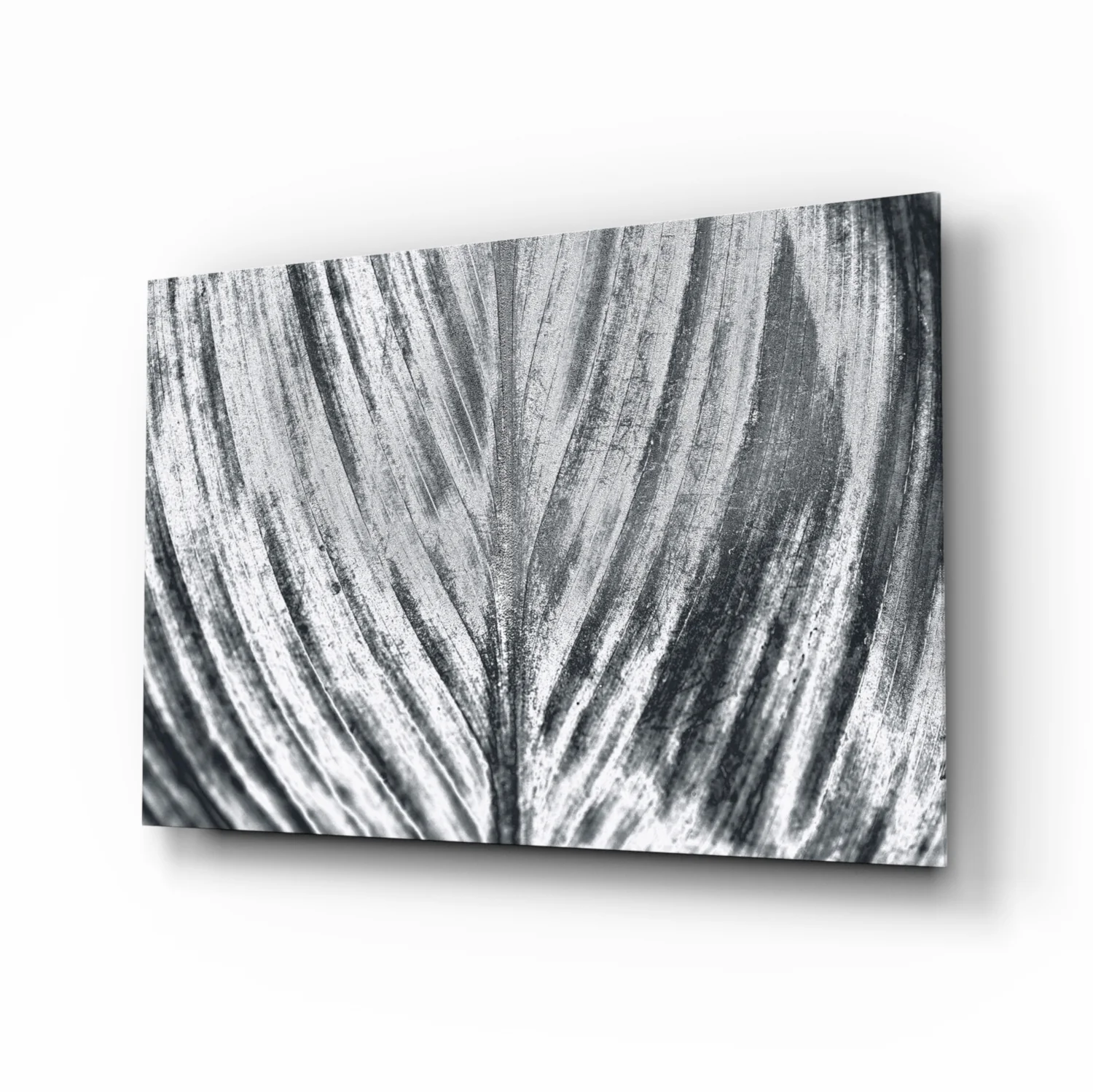 Silver Brushed Leaf Glass Wall Art