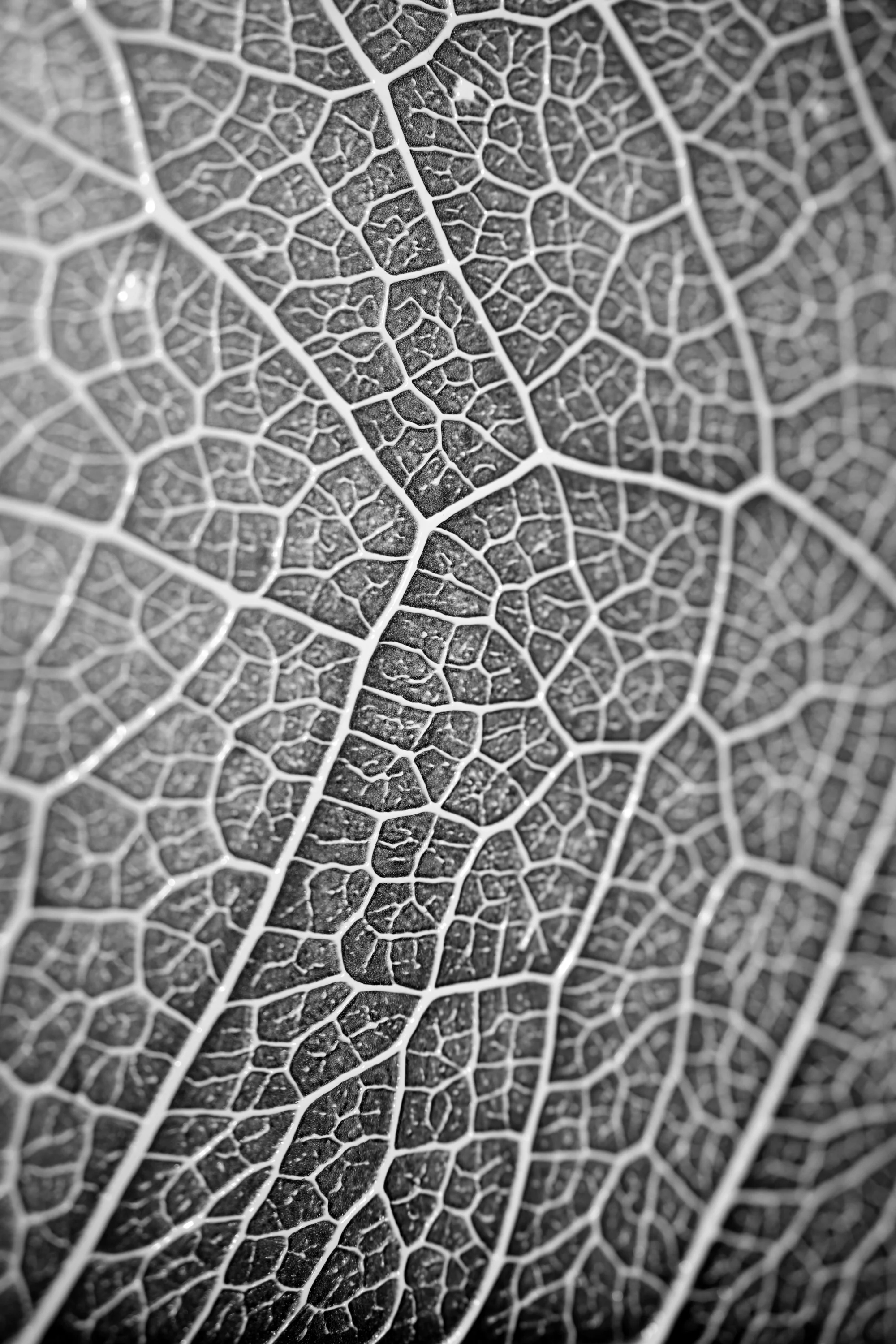 Silver Veins — Haptic 3D Embossed + Gloss Lacquer Print - Image 3