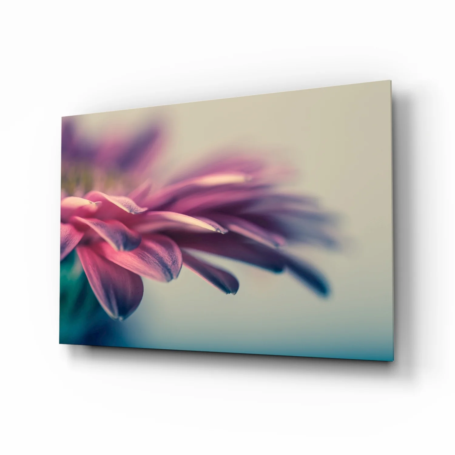 Soft Pink Gerbera Petals Glass Wall Art - Image 2