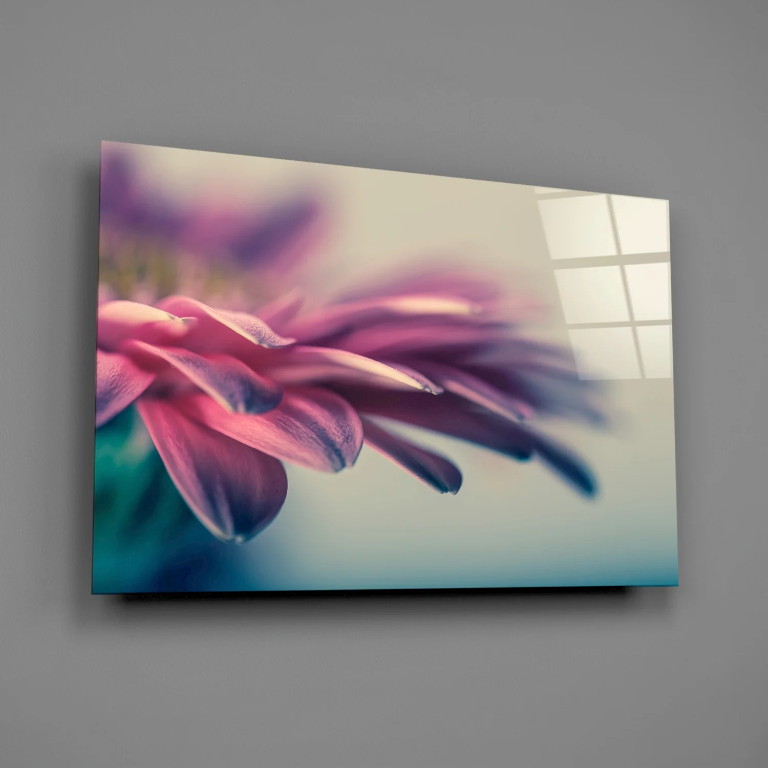 Soft Pink Gerbera Petals Glass Wall Art - Image 3