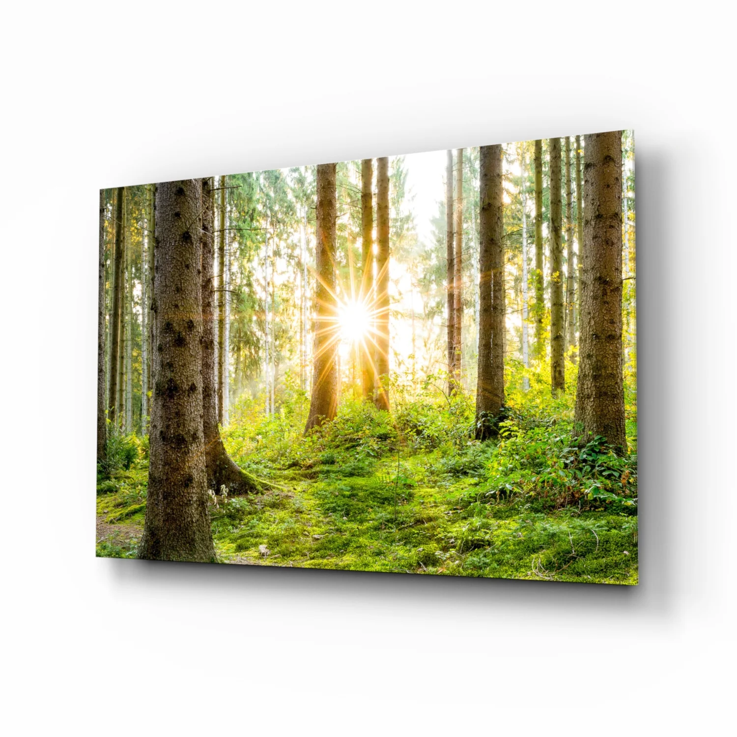 Sunrays Through Forest Trees Glass Wall Art - Image 2