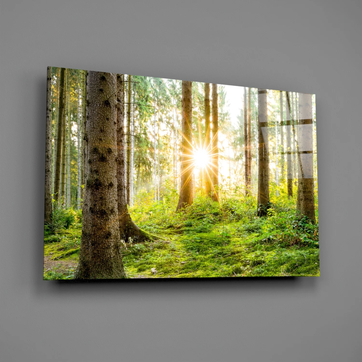 Sunrays Through Forest Trees Glass Wall Art - Image 3