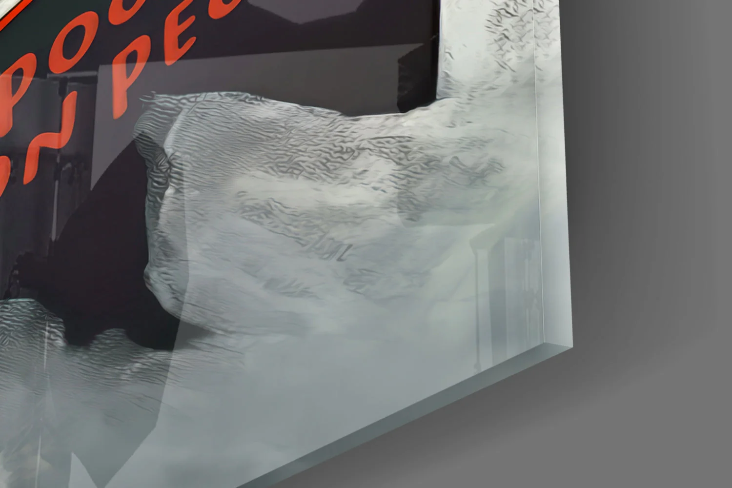 Wise Seagull Glass Wall Art || Designer Collection - Image 7