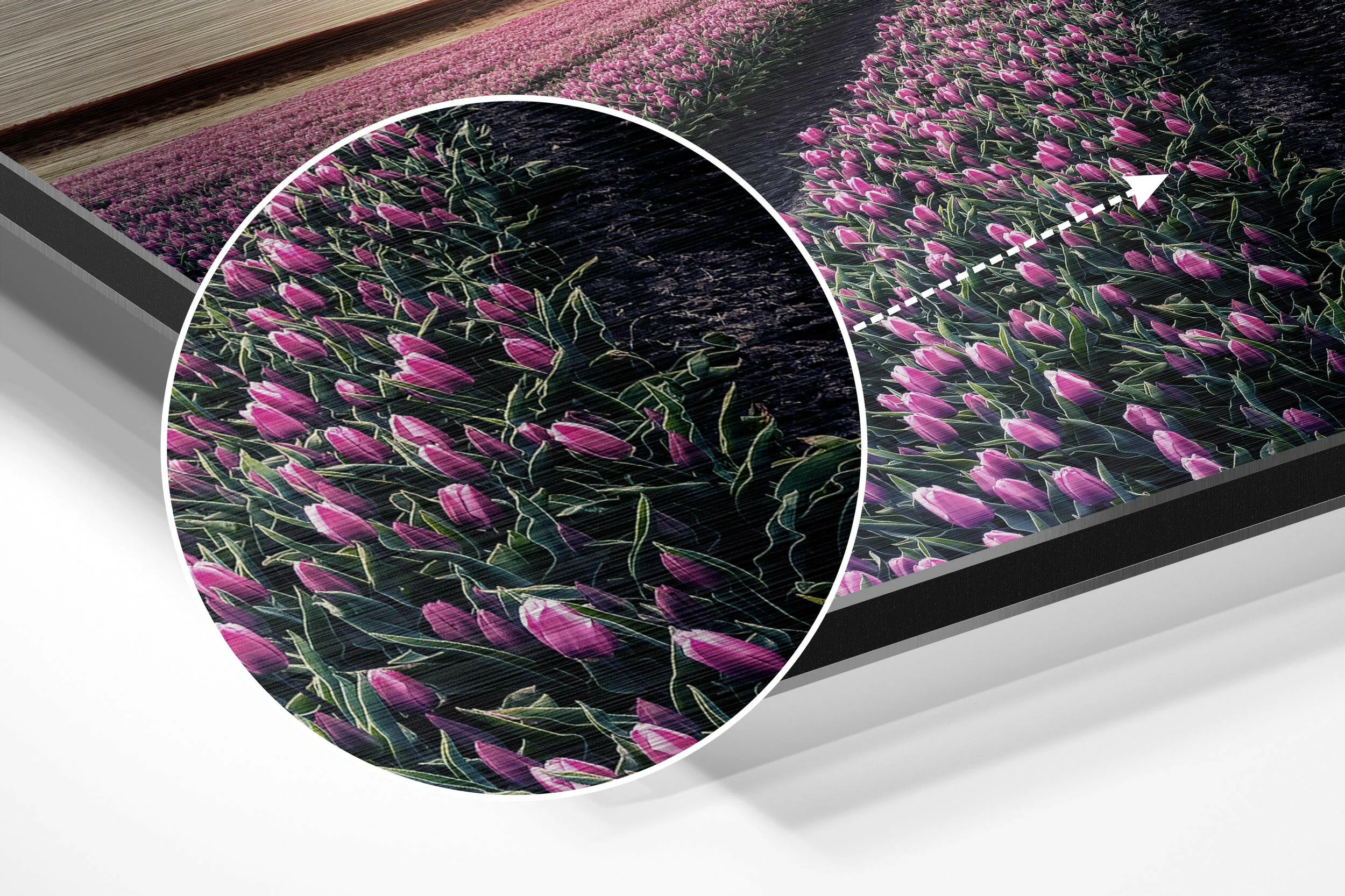 Tulip Field Brushed Aluminium Dibond Wall Art - Image 3