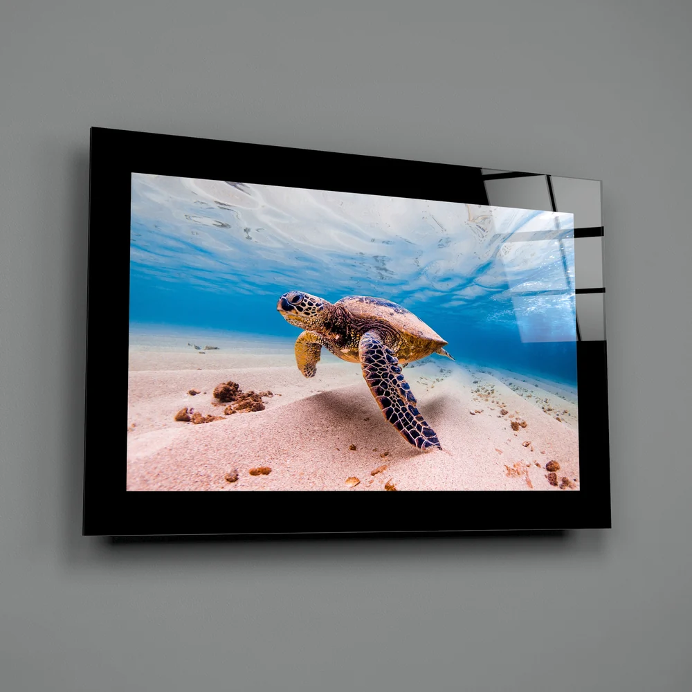 Turtle Glass Wall Art - Image 2
