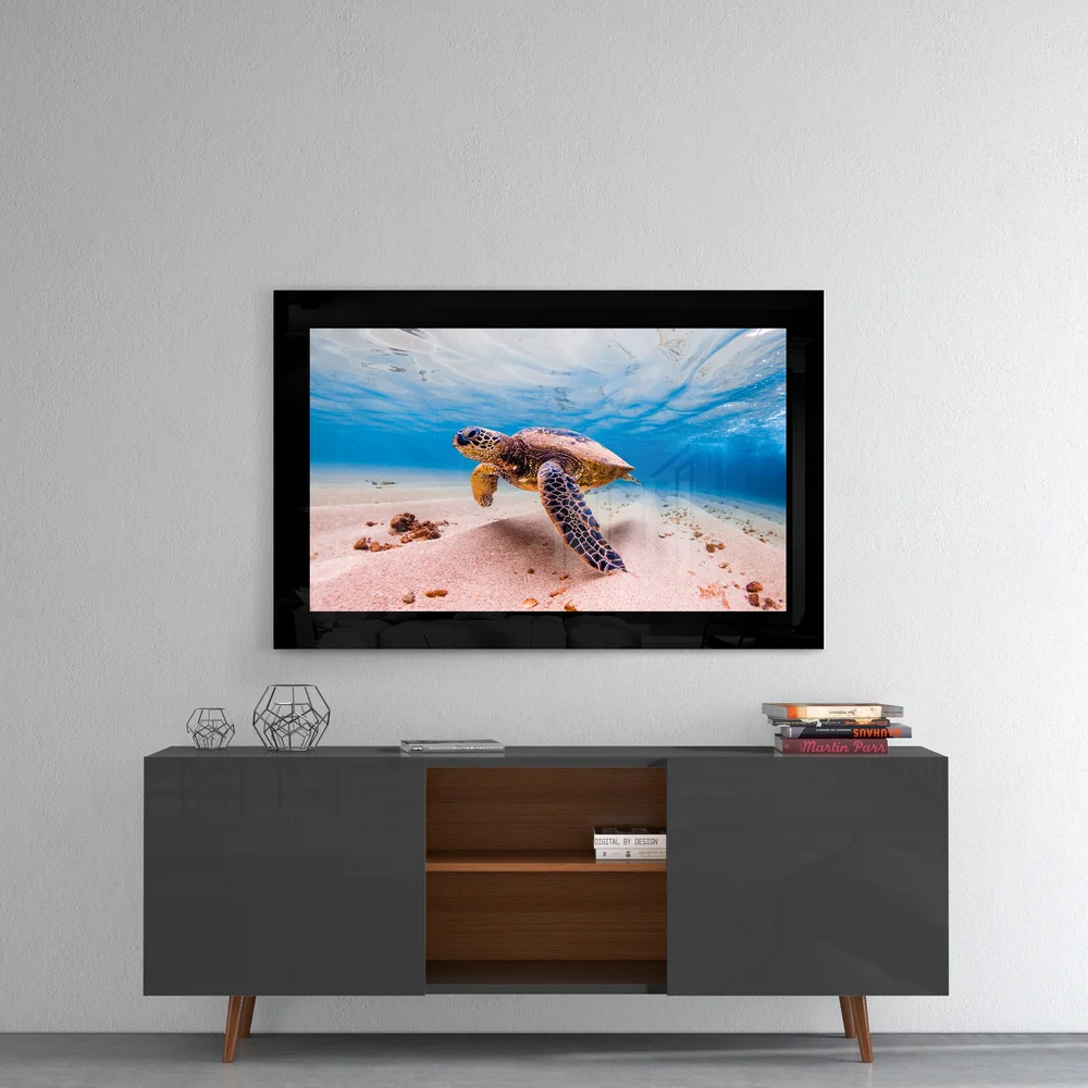 Turtle Glass Wall Art - Image 4
