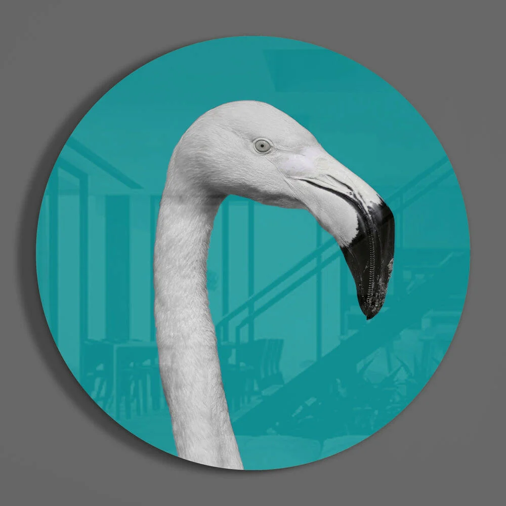 White Flamingo Teal Circle Glass Wall Art - Image 3