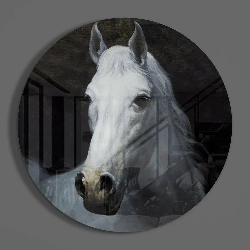 White Horse Portrait Circle Glass Wall Art - Image 3