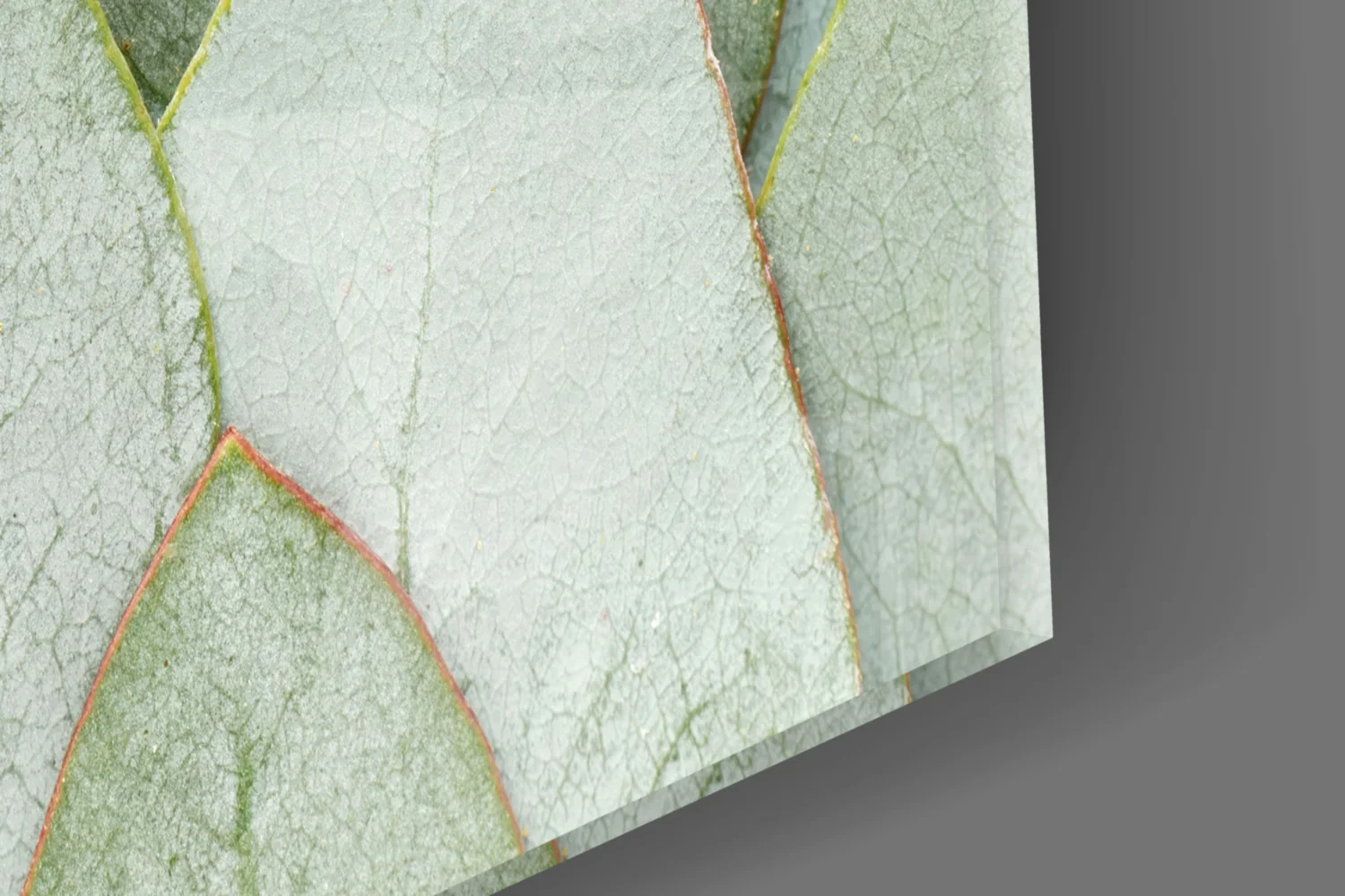 Botanical Glass Wall Art - Image 7