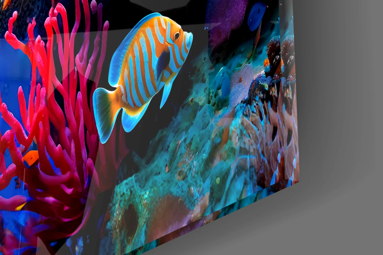 Ocean Life Glass Wall Art - Image 7